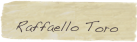 Raffaello Toro